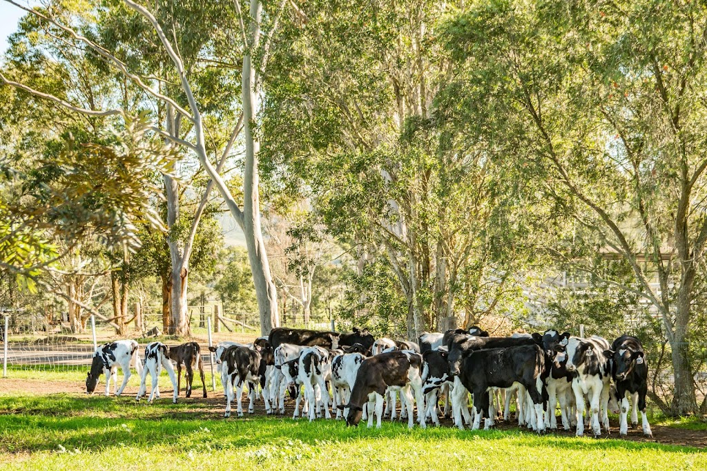 NSW DPI - TOCAL Agricultural Centre | point of interest | 815 Tocal Rd, Paterson NSW 2421, Australia | 0249398888 OR +61 2 4939 8888