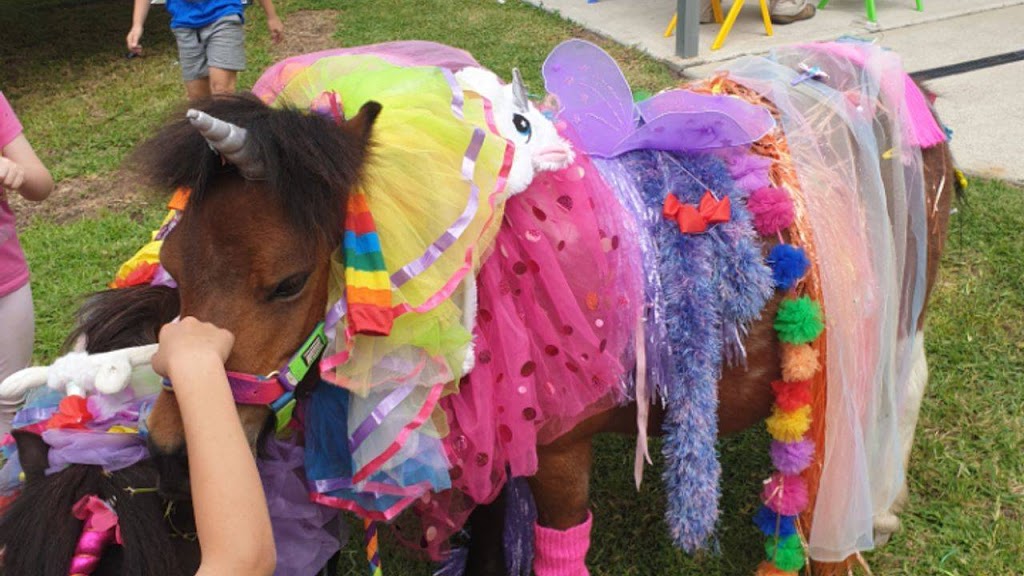 PONIES AND PAINTS | 92 Webber Rd, Wyee NSW 2259, Australia | Phone: 0410 574 186