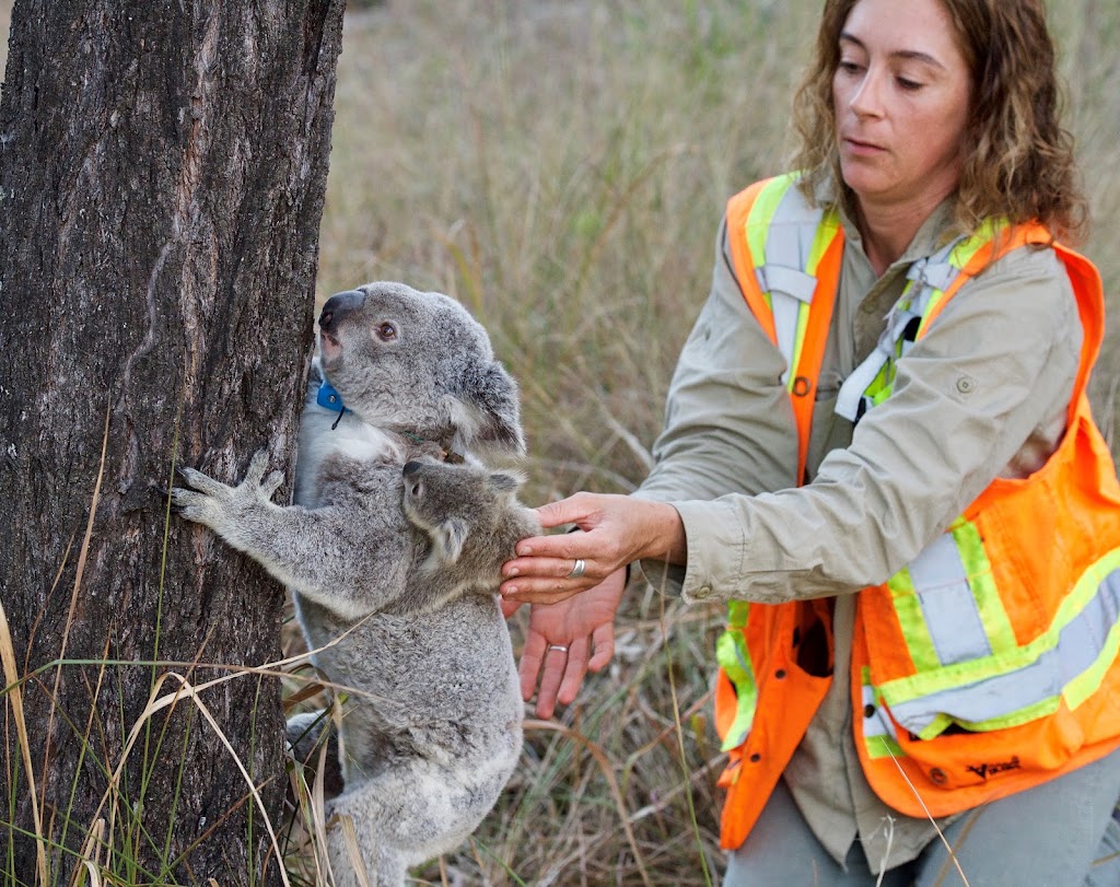 Hidden Vale Wildlife Centre | 617 Grandchester Mount Mort Rd, Grandchester QLD 4340, Australia | Phone: 0418 765 894 Hidden Vale Wildlife Centre | 617 Grandchester Mount Mort Rd, Grandchester QLD 4340, Australia | Phone: 0418 765 894