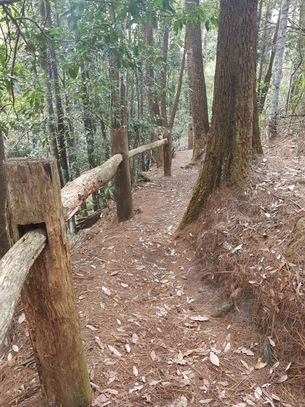 Olney State Forest | Olney NSW 2325, Australia | Phone: (02) 9872 0111