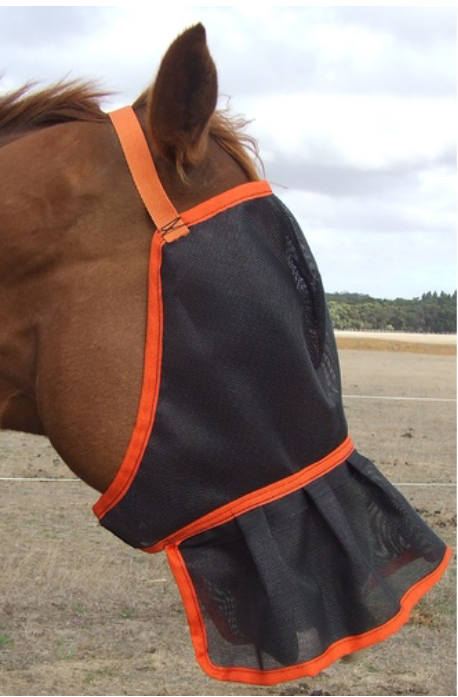 Ecotak Horsewear | 935 Wormbete Station Rd, Gherang VIC 3240, Australia | Phone: 0428 988 218