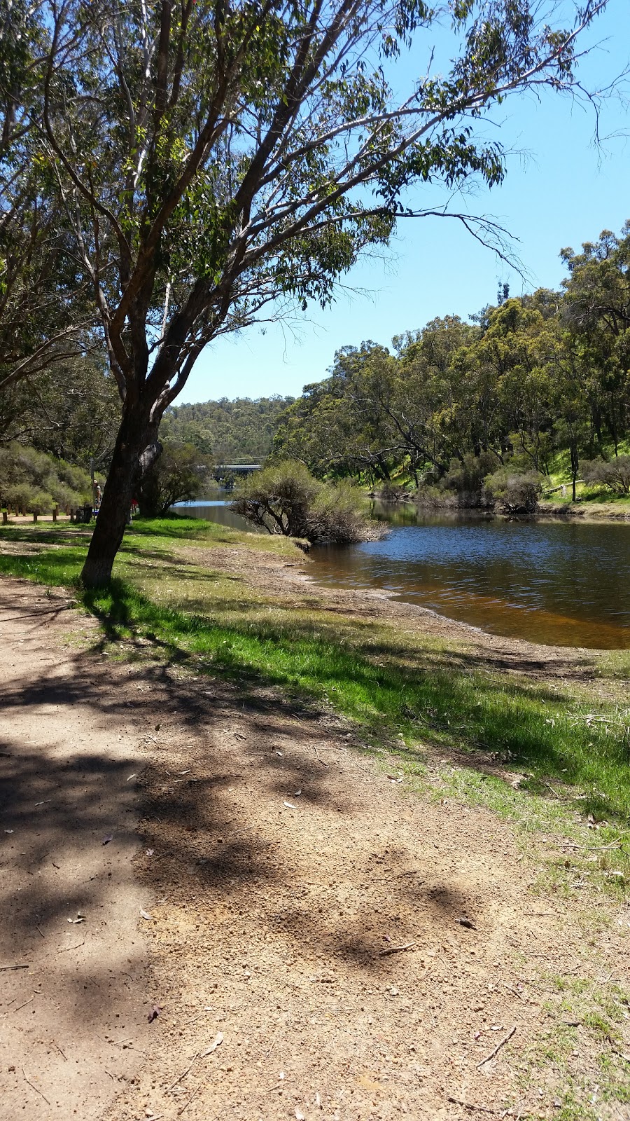 Blackwood River Park | park | 4 Hampton St, Bridgetown WA 6255, Australia