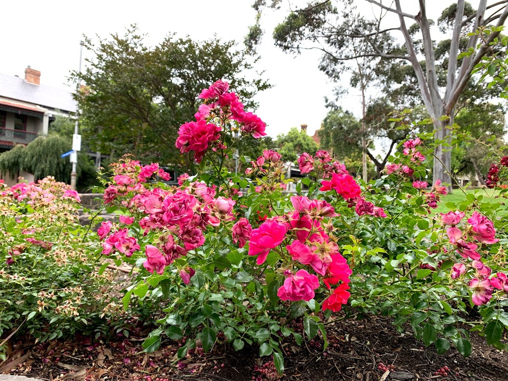 Pleasance Gardens | park | Unnamed Road, North Melbourne VIC 3051, Australia