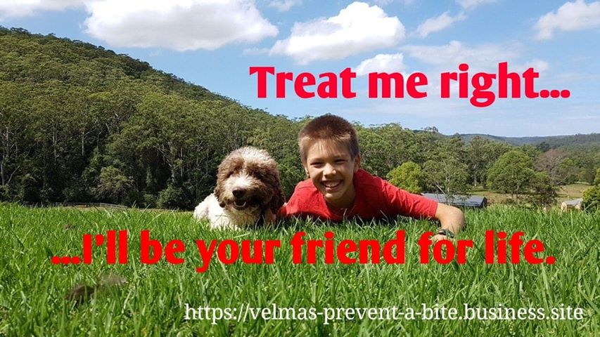 Velmas Prevent - A - Bite | Shirley St, Ourimbah NSW 2258, Australia | Phone: 0432 578 210