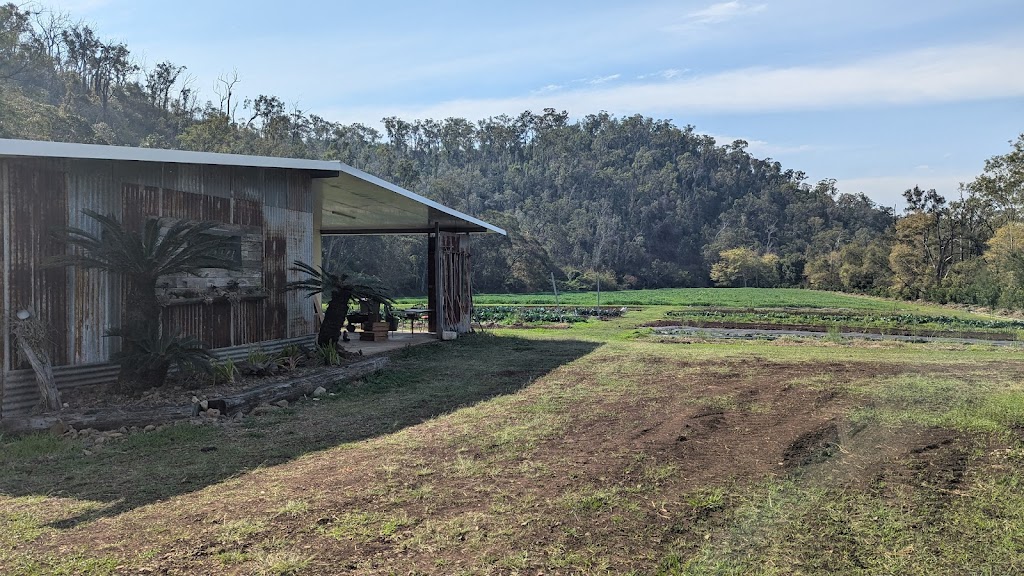 Ellias Garden | Farm Visits & Pick Your Own Produce | 1819 Tarome Rd, Moorang QLD 4340, Australia | Phone: 0491 100 661