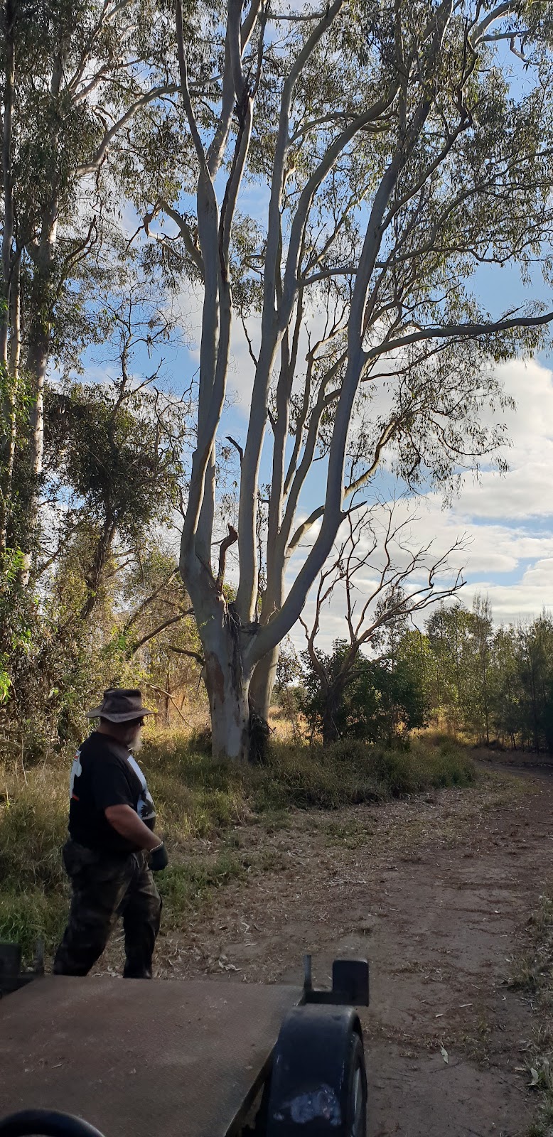 Skippy Hollow | Schmidt Rd, Eagleby QLD 4207, Australia | Phone: 0429 343 356