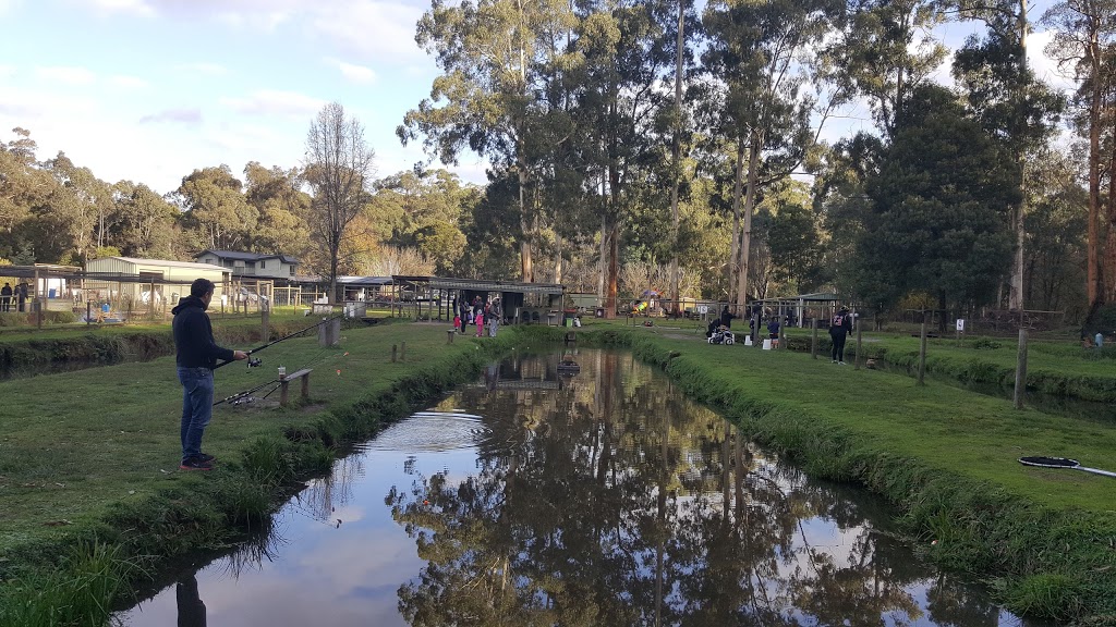 Australian Rainbow Trout Farm | park | 26 Mulhalls Rd, Macclesfield VIC 3782, Australia | 0359684711 OR +61 3 5968 4711