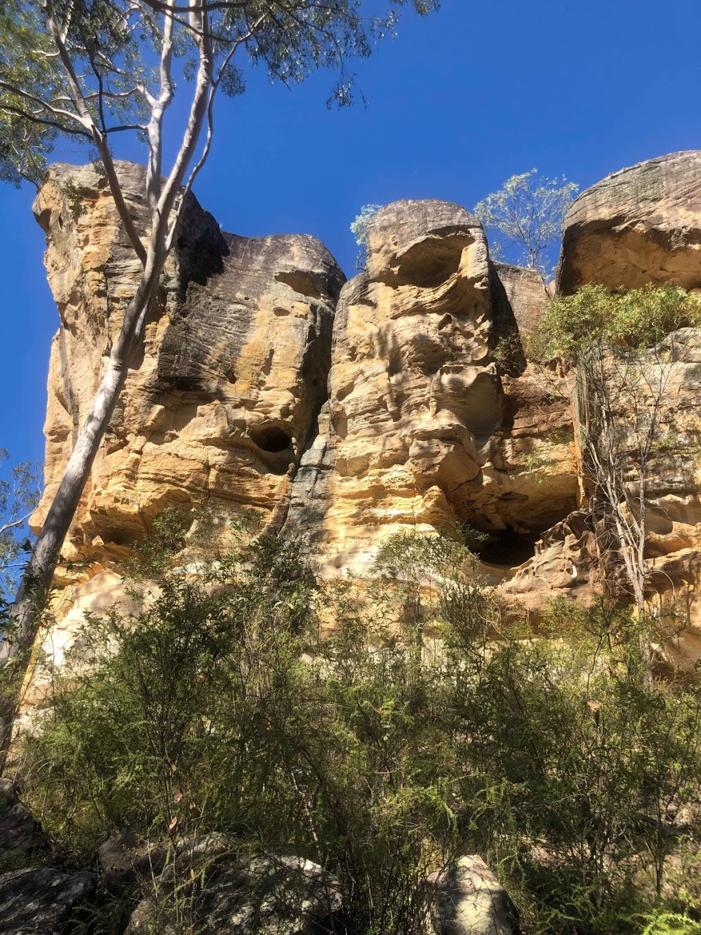 Paperbark Flats Picnic Area | 265-317 School Rd, Redbank Plains QLD 4301, Australia | Phone: (07) 3810 6666