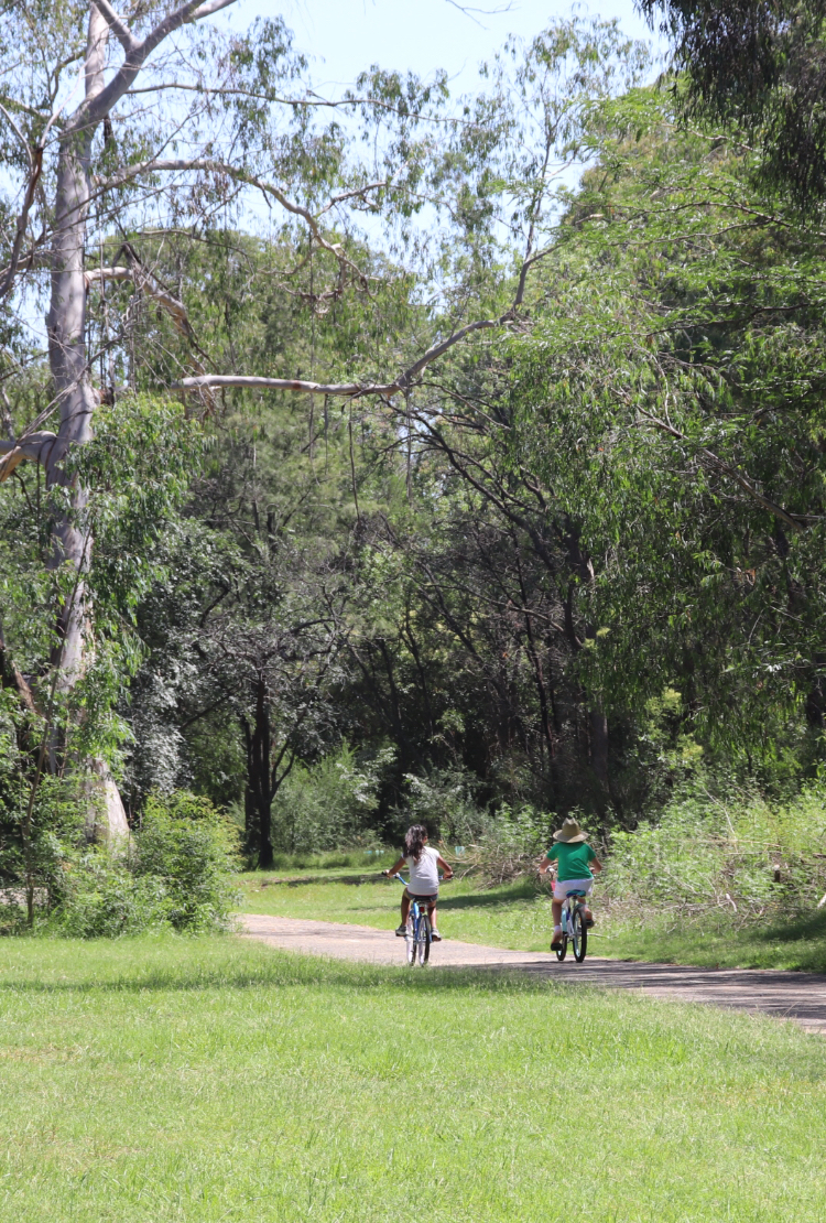 Camden Bike Track | park | Unnamed Road, Camden NSW 2570, Australia