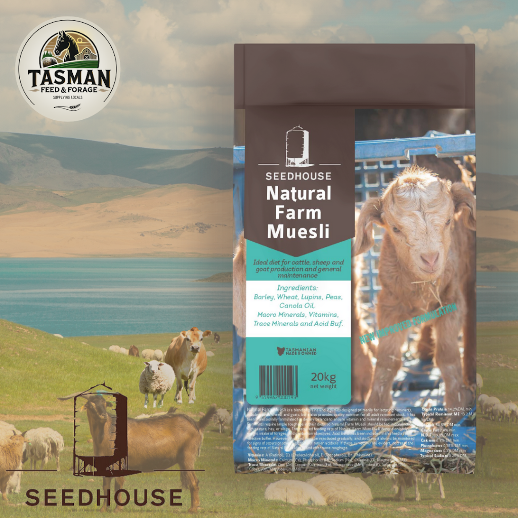 Tasman Feed & Forage | 479 Nubeena Back Rd, Koonya TAS 7187, Australia | Phone: 0490 951 692