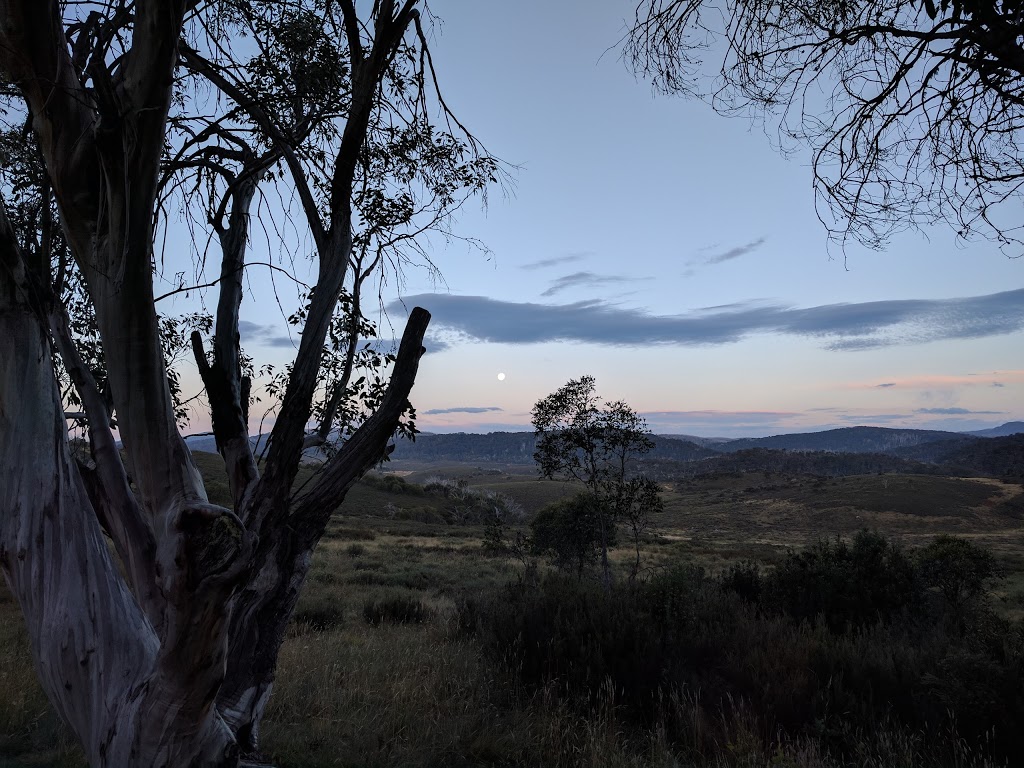 Wheelers Hut | lodging | Wheelers Hut Trail, Jagungal Wilderness NSW 2642, Australia