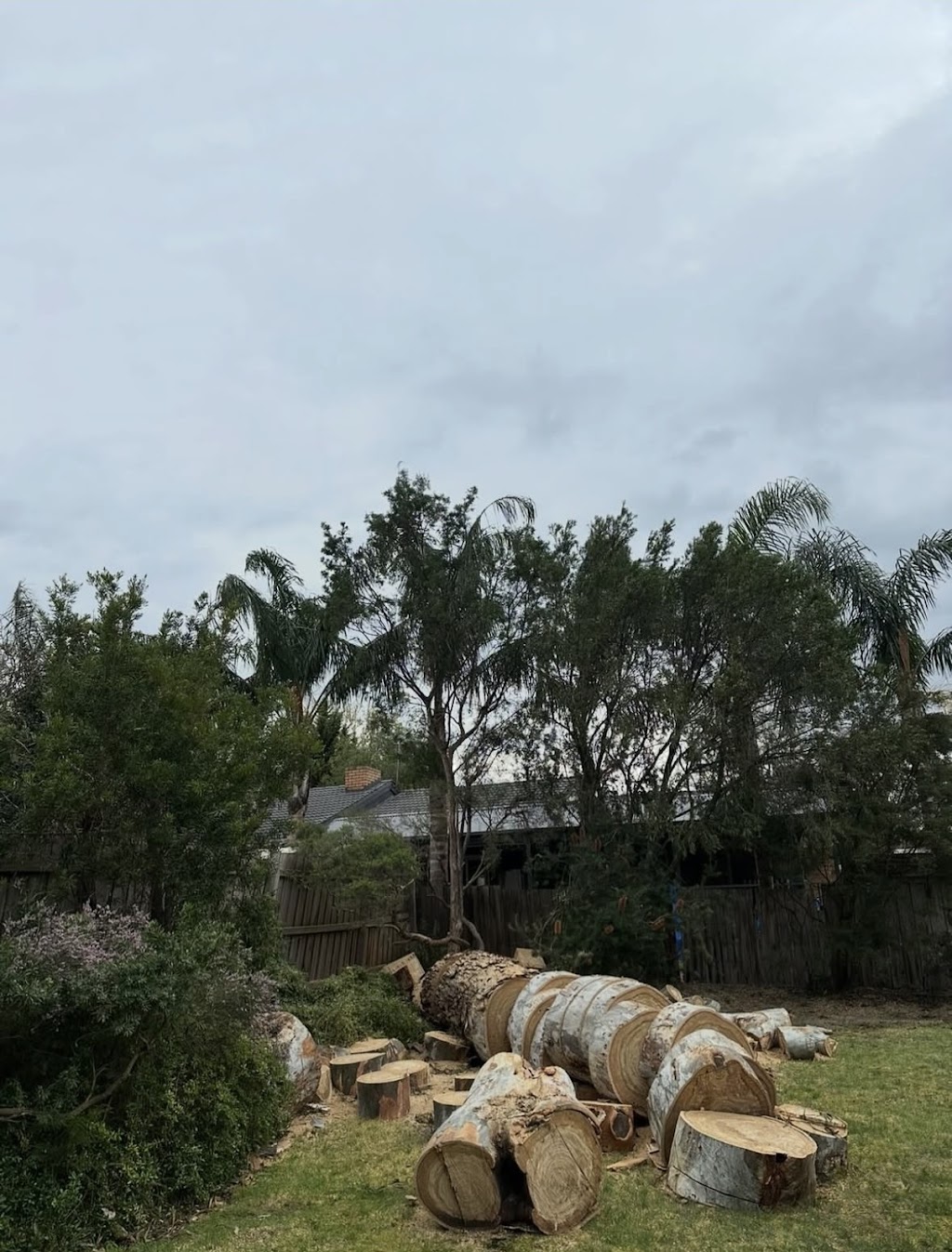 Coopers Trees | Main St, Gembrook VIC 3783, Australia | Phone: 0488 059 902