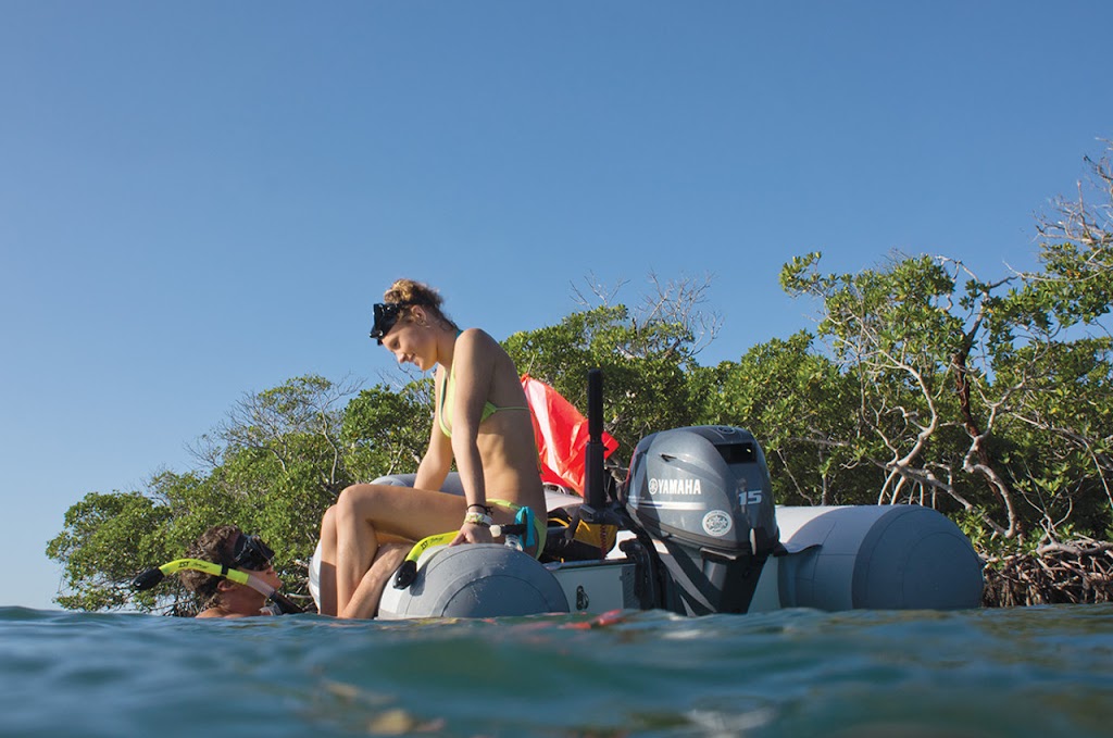 GTS Engines | 20 Waterworth Dr, Margate TAS 7054, Australia | Phone: 0485 815 137