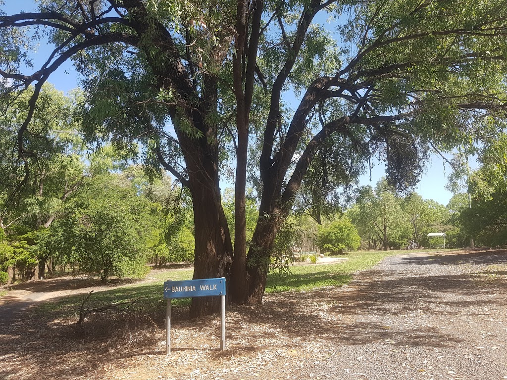 Emerald Botanic Gardens | park | 100 Capricorn Highway, Emerald QLD 4720, Australia | 0427634444 OR +61 427 634 444