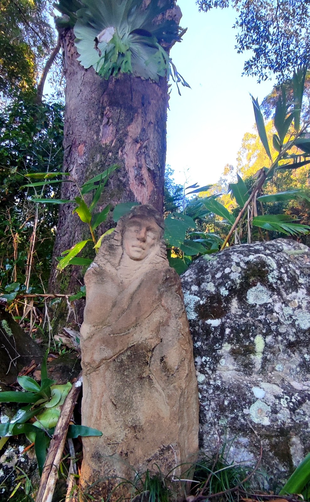 Hand Bent Banana Art Nature & Health Centre Pty Ltd | 335 Petsch Creek Rd, Tallebudgera Valley QLD 4228, Australia | Phone: 0430 353 347