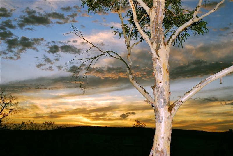 ACT Nudist Club Inc. | Kings Highway, Kowen Forest ACT 2620, Australia | Phone: (02) 6176 1799