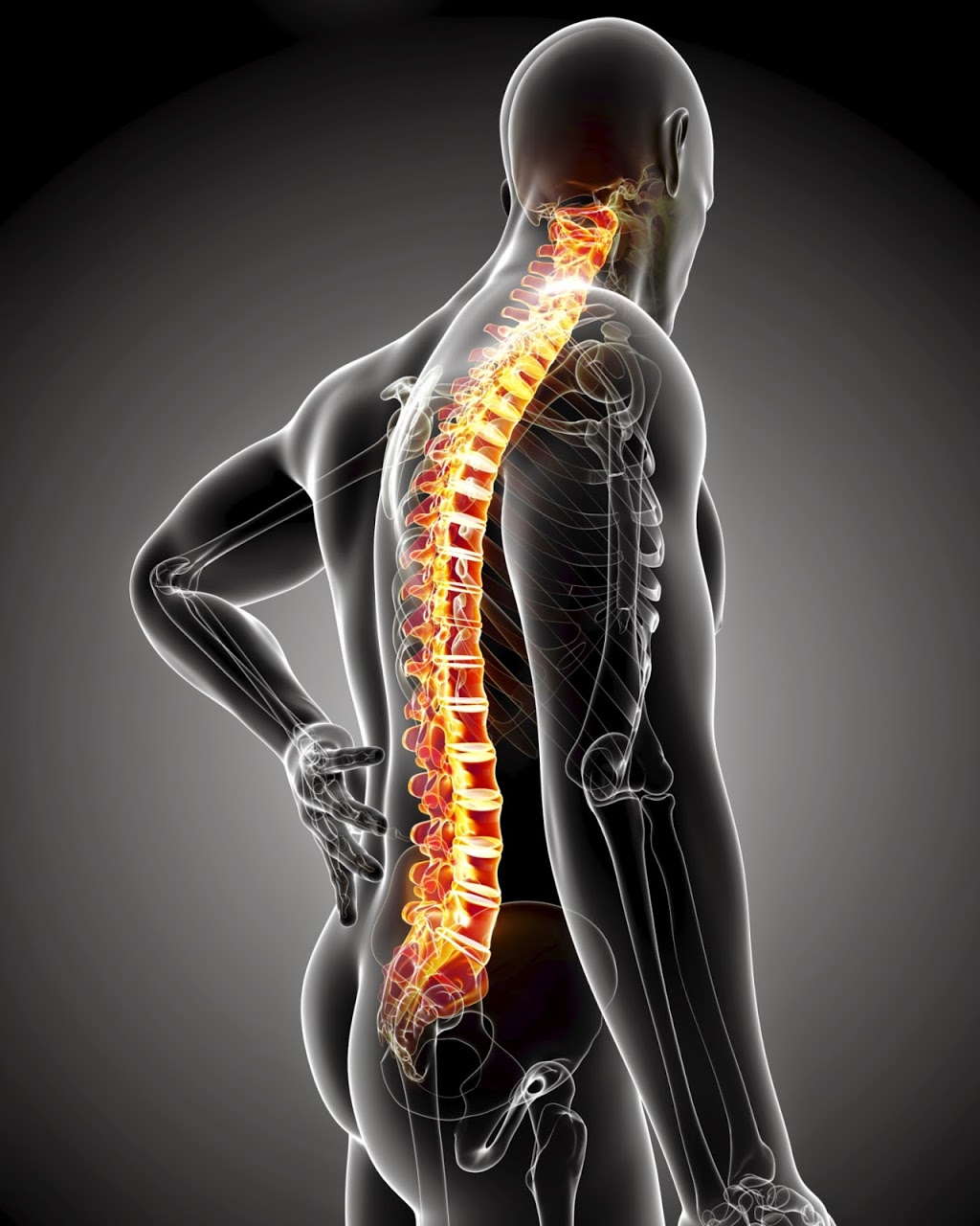 Geelong Spine Centre | 4 Park Cres, South Geelong VIC 3220, Australia | Phone: (03) 5229 9888