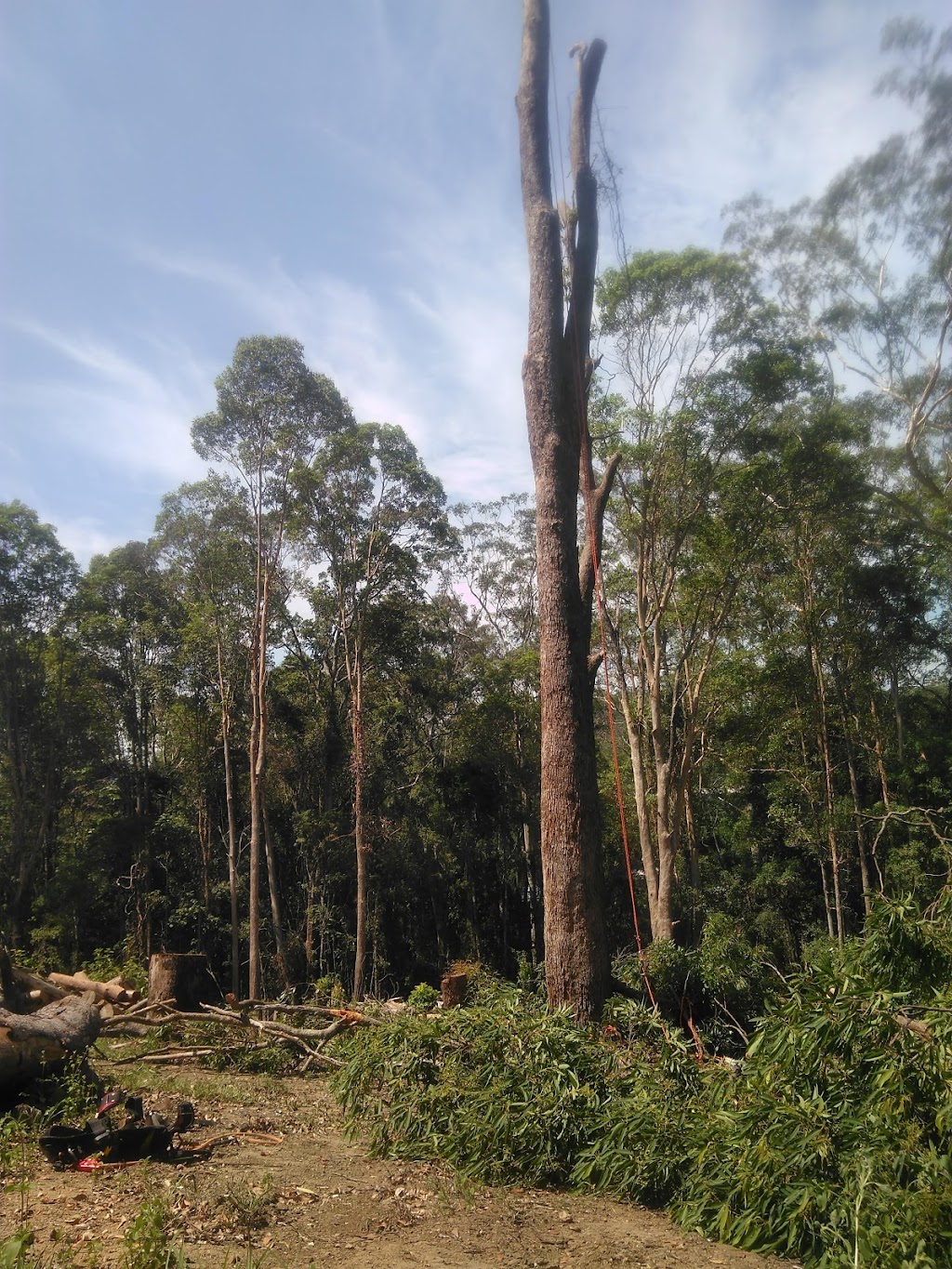 Greenish Tree Care |  | 46 Redwood Rd, Doonan QLD 4562, Australia | 0493454504 OR +61 493 454 504