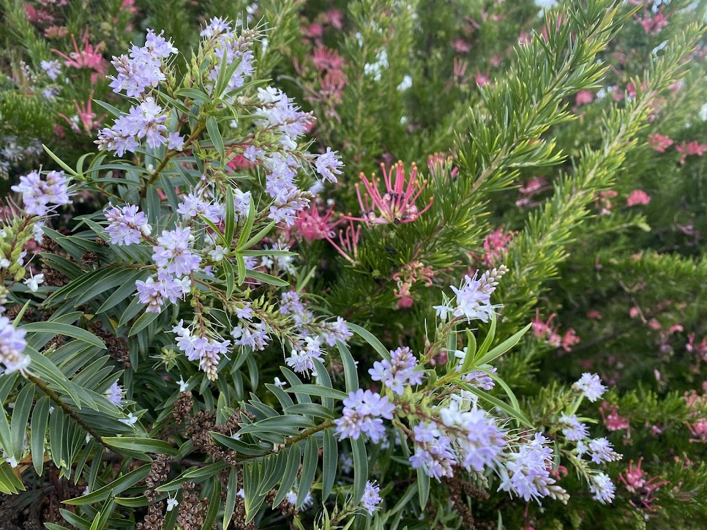 Clara Cove Waterfront Apartments | 12 Clara St, Kalimna VIC 3909, Australia | Phone: 0458 987 904