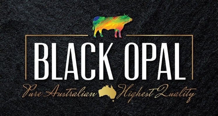 UNITED MEAT CO BRISBANE | 183 Elliott Rd, Banyo QLD 4014, Australia | Phone: 0430 477 260