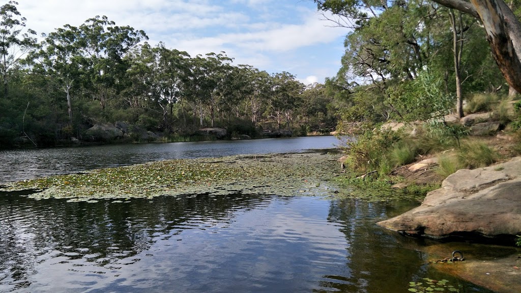 Northmead Reserve | park | Elizabeth Cres, Northmead NSW 2152, Australia | 0298065140 OR +61 2 9806 5140