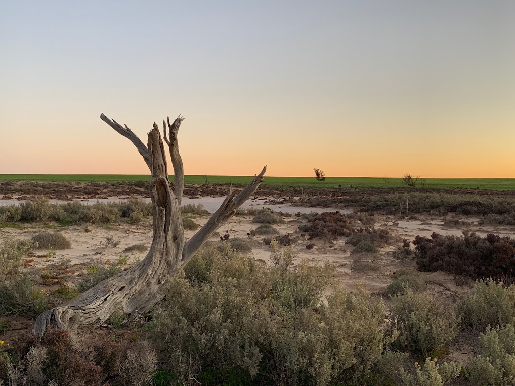 Lake Tyrrell | Lake Tyrrell Rd, Lake Tyrrell VIC 3533, Australia | Phone: 13 19 63