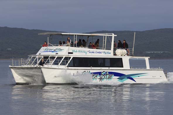 Albany Ocean Adventures | 5/A Toll Pl, Albany WA 6330, Australia | Phone: 0428 429 876