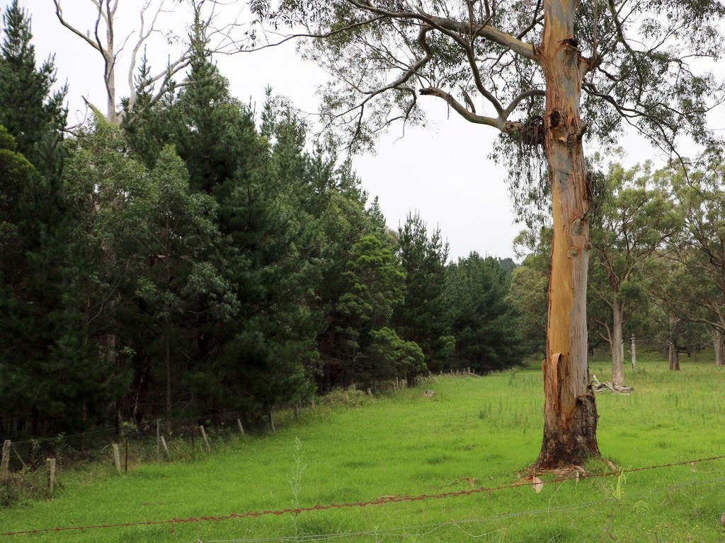 Wilsons Downfall | park | Willsons Downfall NSW 2372, Australia