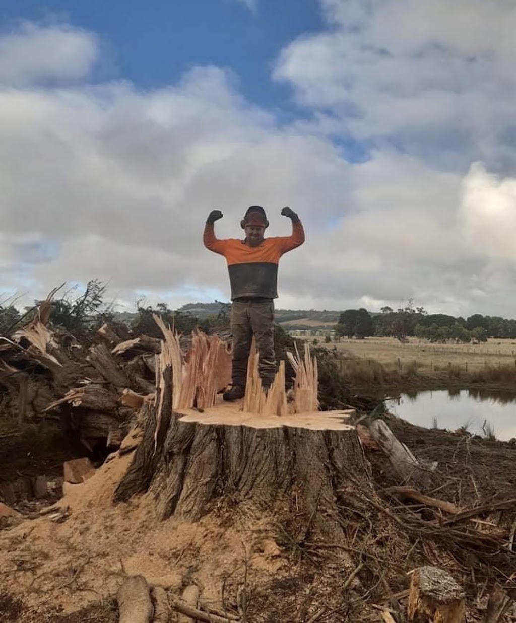 Pat’s Timber and Tree Services | 40 Ridge Bvd, Yinnar VIC 3869, Australia | Phone: 0468 939 833