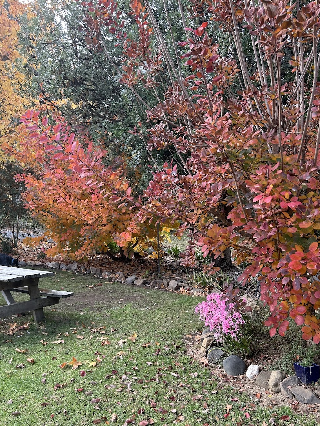 THE MINERS COTTAGES | 11 Miners Way, Swifts Creek VIC 3896, Australia | Phone: 0412 356 241