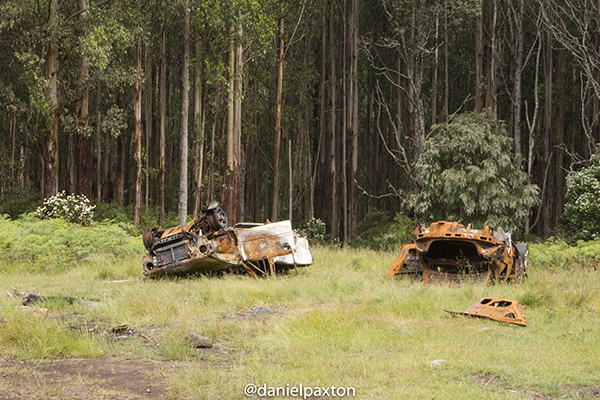 Groom Hill | park | 50 Groom Hill Track, Warburton VIC 3799, Australia