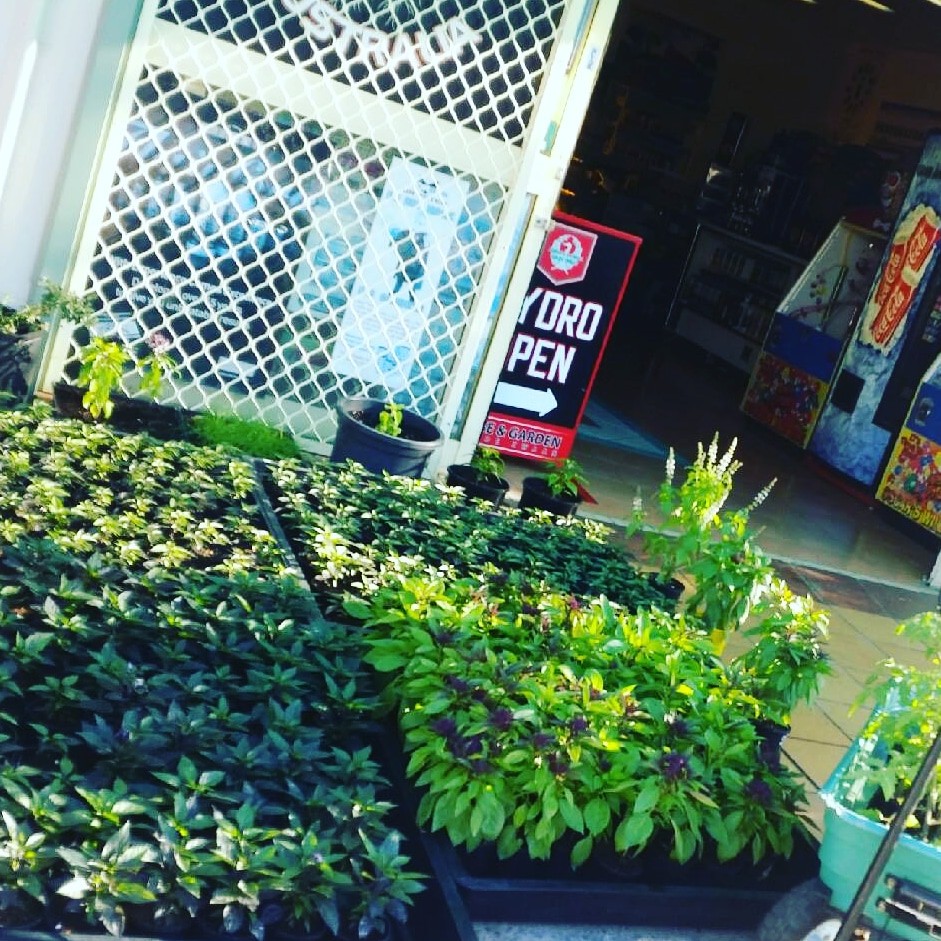 Northern Lights Hydroponics |  | 17/40 Hyde St, South Grafton NSW 2460, Australia | 0434617116 OR +61 434 617 116
