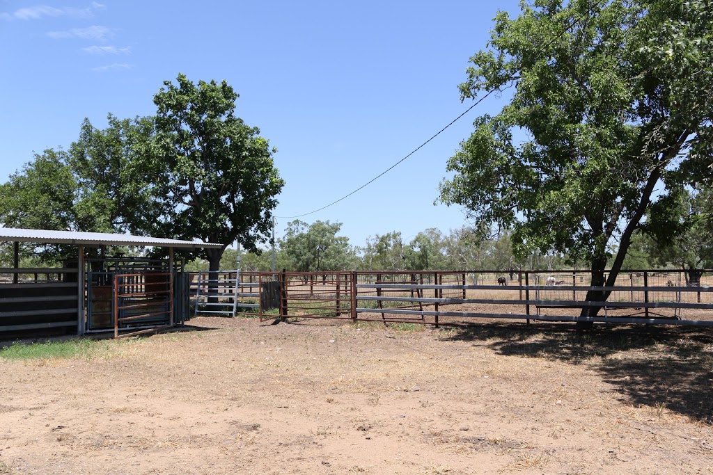 Fletcherview Research Station, James Cook University |  | Gregory Hwy, Basalt QLD 4820, Australia | 0747872839 OR +61 7 4787 2839