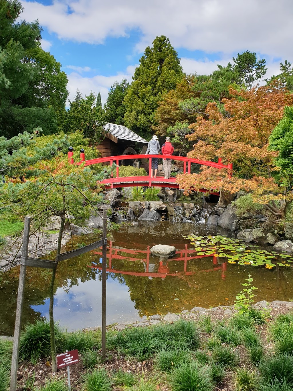 Japanese Garden | park | Unnamed Road, Queens Domain TAS 7000, Australia