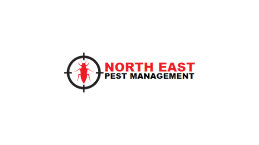 North East Pest Management | home goods store | 19 Kerry Ct, Launceston TAS 7250, Australia | 0429163705 OR +61 429 163 705