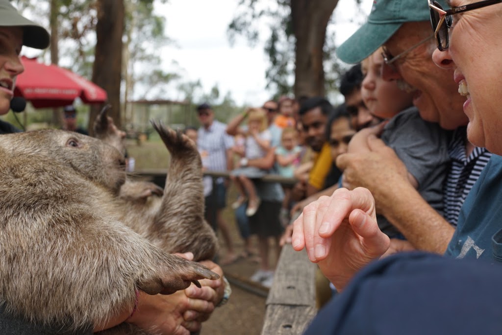 Shoalhaven Zoo And Adventure World | 23 Rock Hill Rd, North Nowra NSW 2541, Australia | Phone: (02) 4421 3949