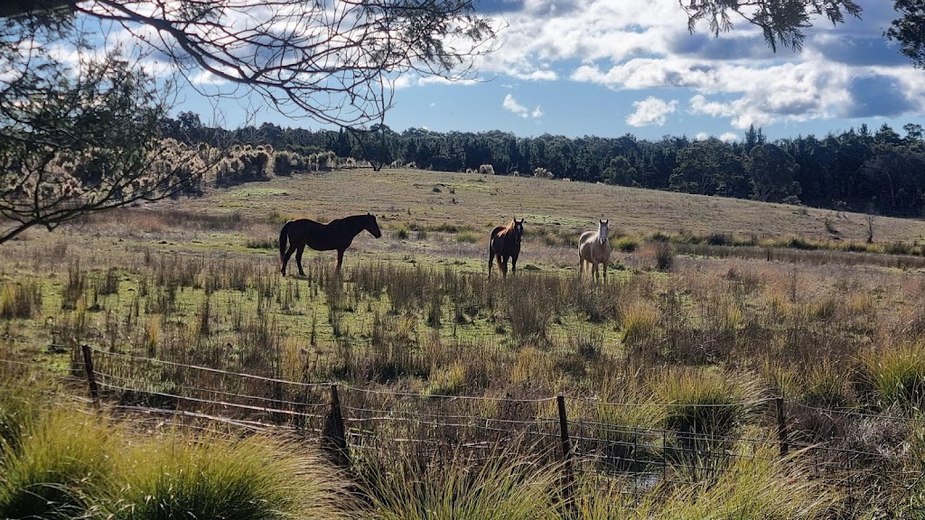 Horse N Around Mulgoa | 2637 The Northern Rd, Mulgoa NSW 2745, Australia | Phone: (02) 4773 4169