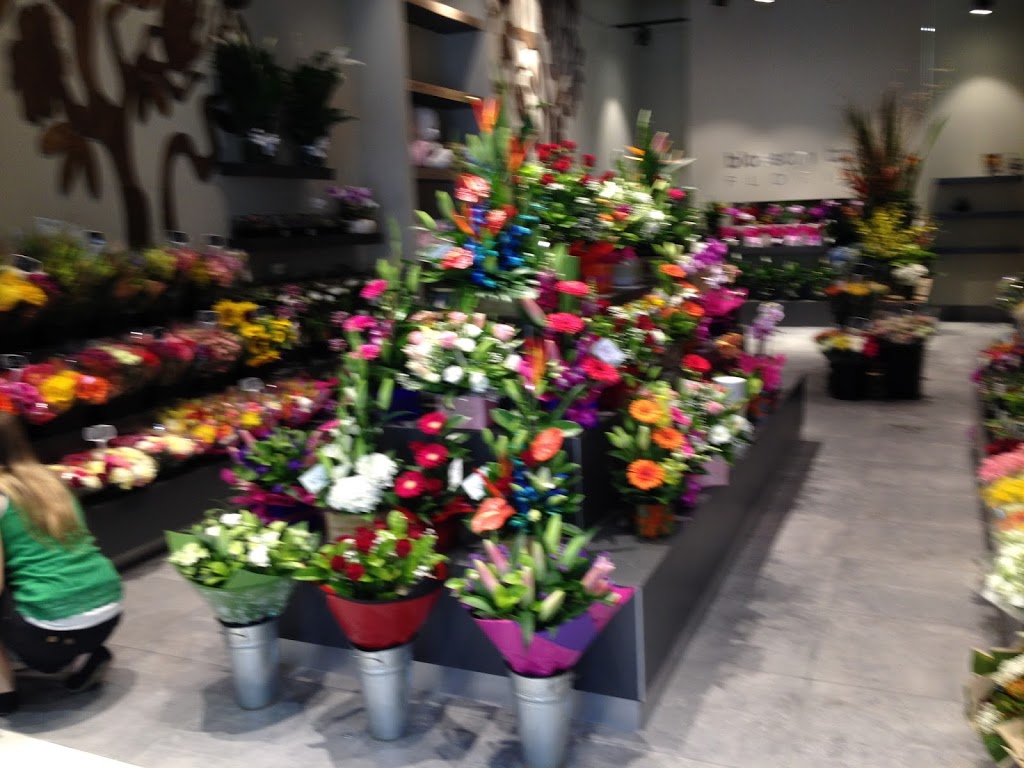 Blossoms of Wyndham | florist | Wyndham Village Shopping Centre 27, 382/380 Sayers Rd, Tarneit VIC 3029, Australia | 0397316577 OR +61 3 9731 6577