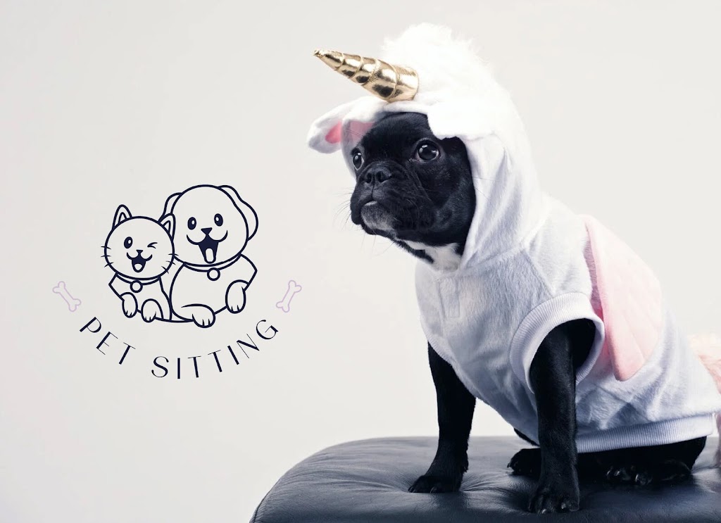 Toulas Animal Sitting | 73 Oneills Rd, Lakes Entrance VIC 3909, Australia | Phone: 0448 734 950