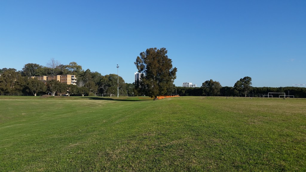 Meadowbank Park | park | Constitution Rd, Meadowbank NSW 2114, Australia | 0298090882 OR +61 2 9809 0882