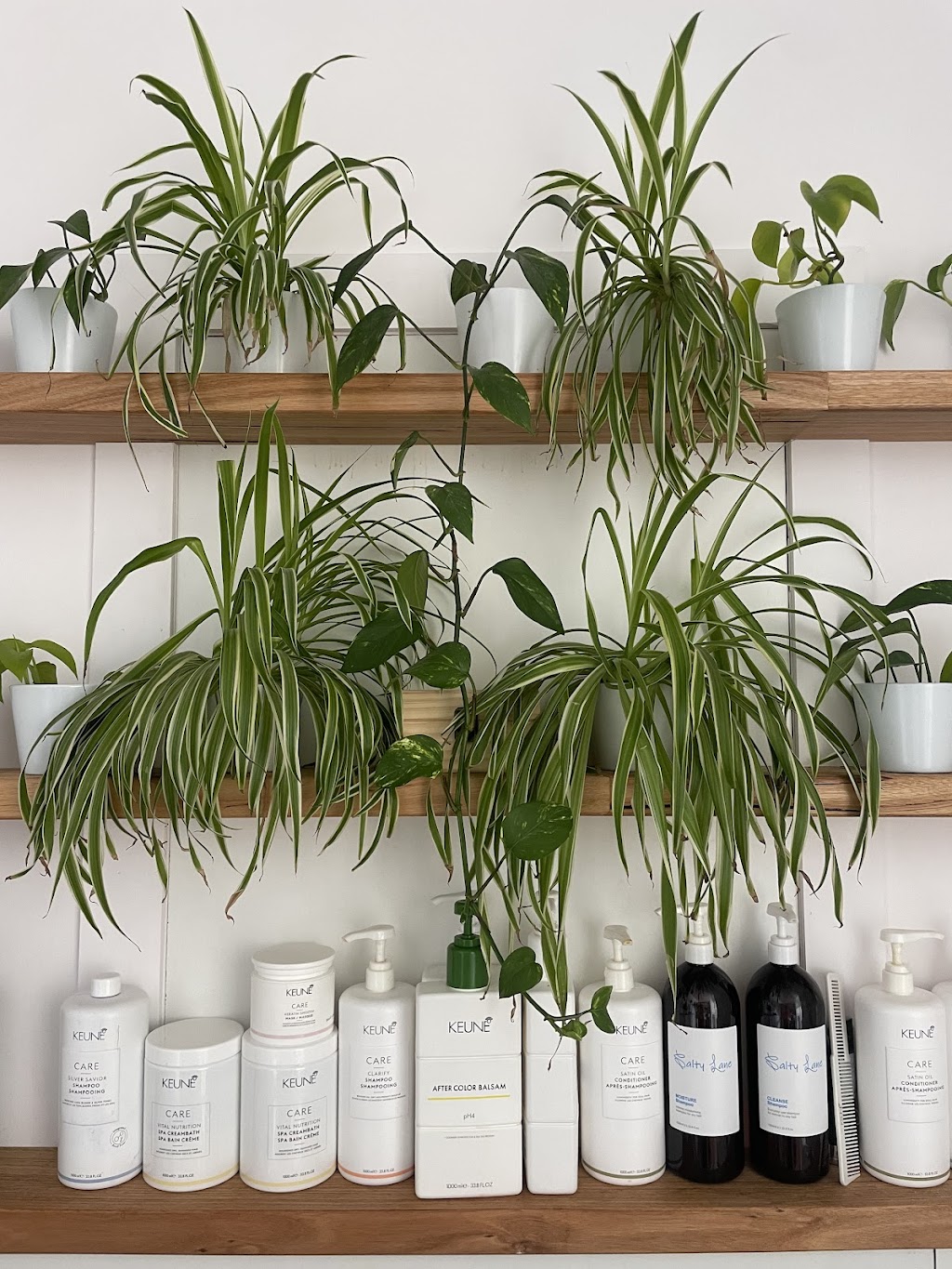 Salty Lane Hair Studio | 80A Surf Beach Rd, Cape Paterson VIC 3995, Australia | Phone: (03) 5618 1603