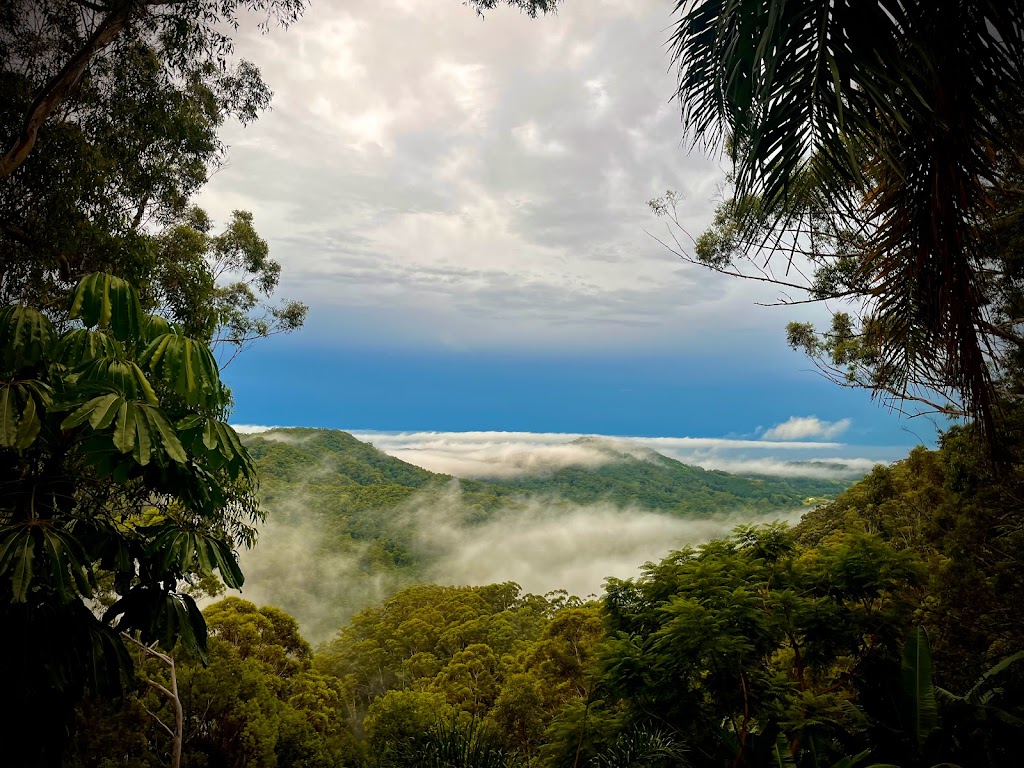 Treehouse in The Pocket | 333 Skyline Rd, Middle Pocket NSW 2483, Australia | Phone: 0415 949 636