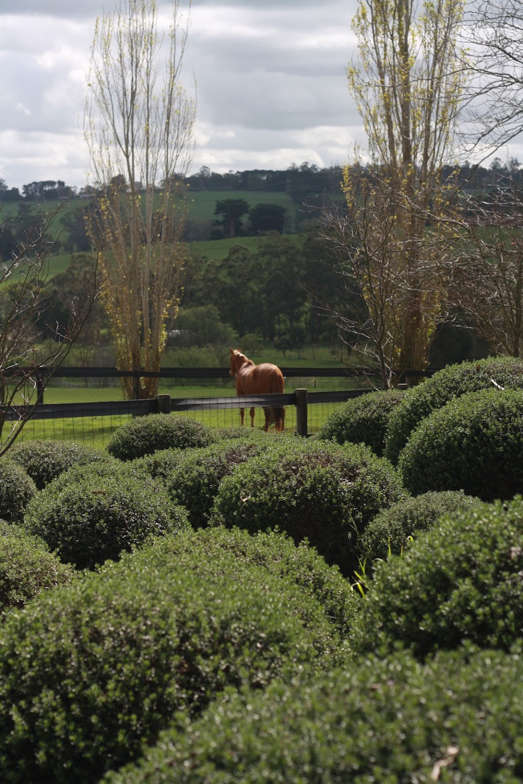 Lillico Nurture | 500 Copelands Rd, Lillico VIC 3820, Australia | Phone: 0418 372 880