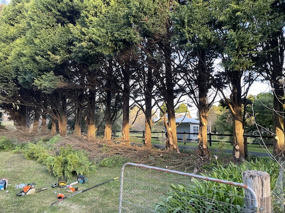 Acrewood Lawn & Garden Maintenance | Shop 2, 79/81 Hoddle St, Robertson NSW 2577, Australia | Phone: 0410 469 717