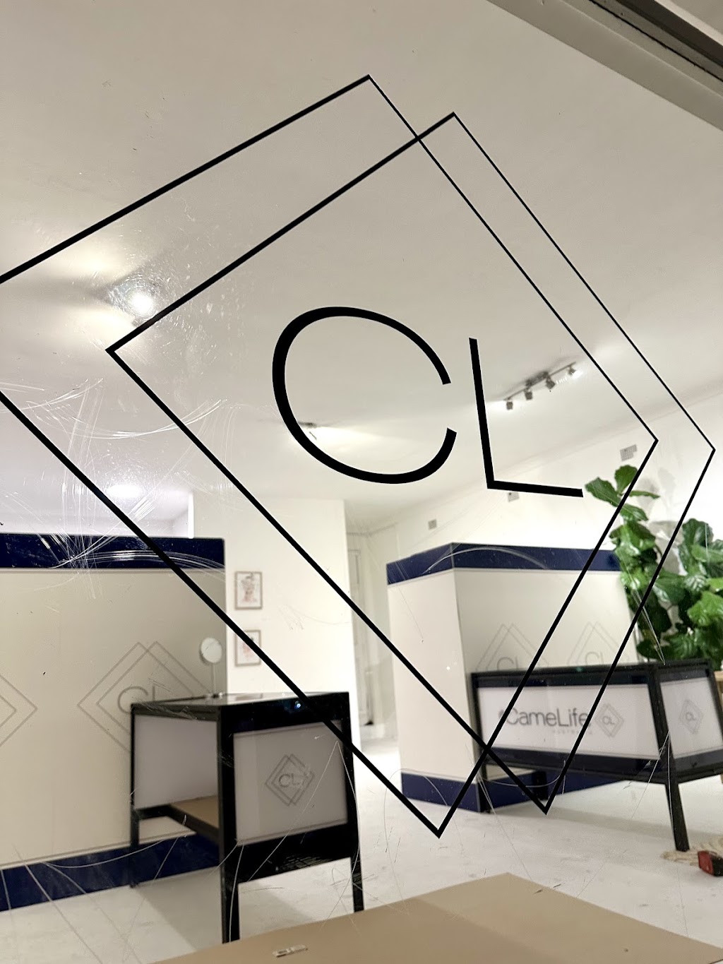 CameLife Australia | Shed 6/44 Woodbine St, North Balgowlah NSW 2093, Australia | Phone: 1300 723 220