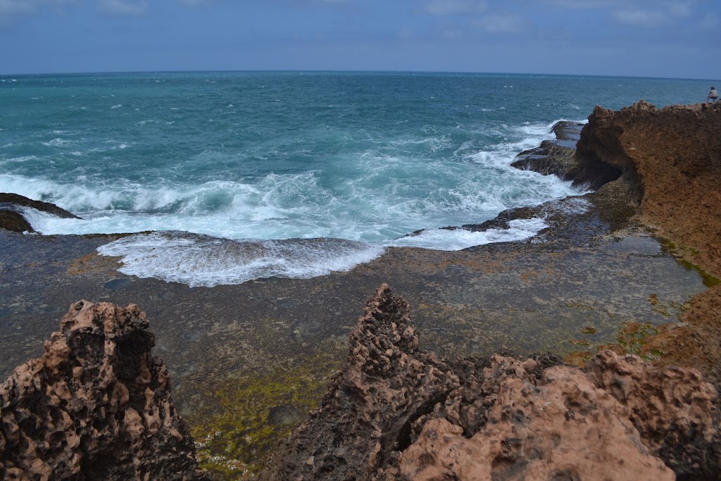 Blowholes | tourist attraction | Blowholes Rd, Torndirrup WA 6330, Australia | 0898424500 OR +61 8 9842 4500