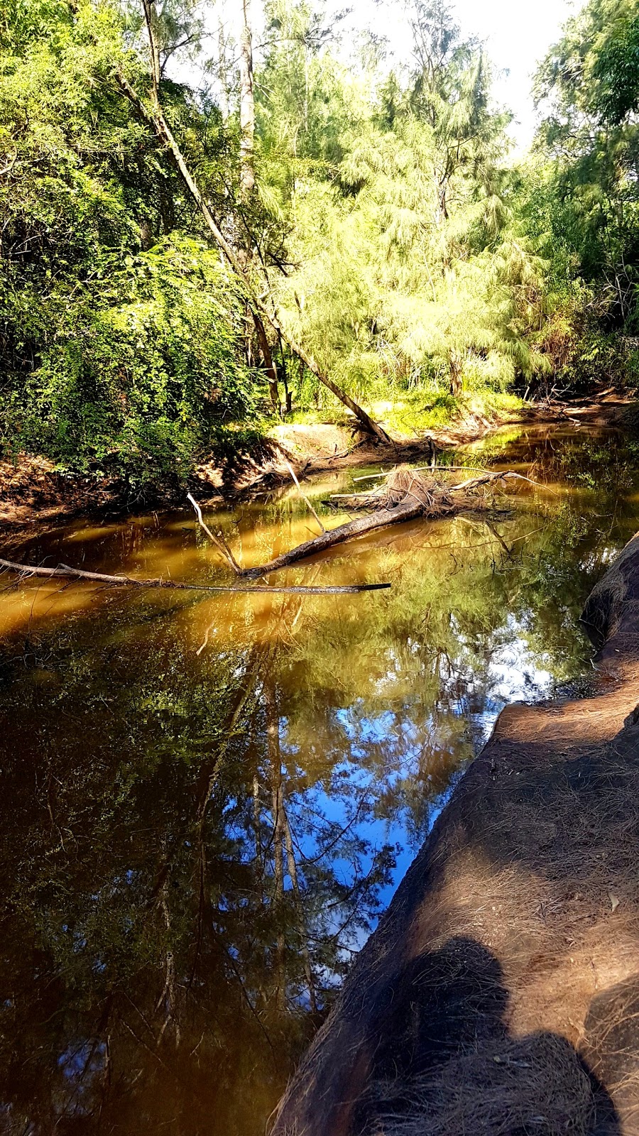 Wollombi Brook nature trail | park | Brook, Wollombi NSW 2325, Australia