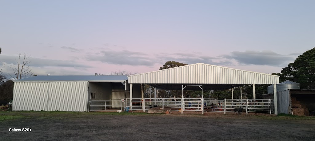Bellview Connection Equine Assisted Therapy & Counselling | 258 Glue Pot Rd, Pomonal VIC 3381, Australia | Phone: 0429 353 680