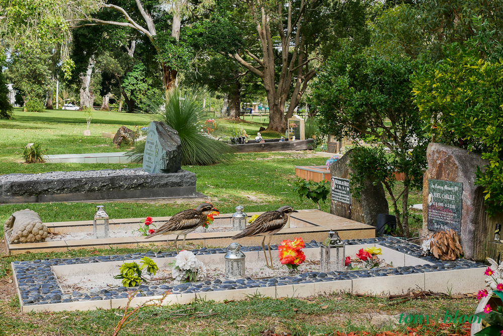 Dunwich Cemetery | Dunwich QLD 4183, Australia | Phone: (07) 3829 8999