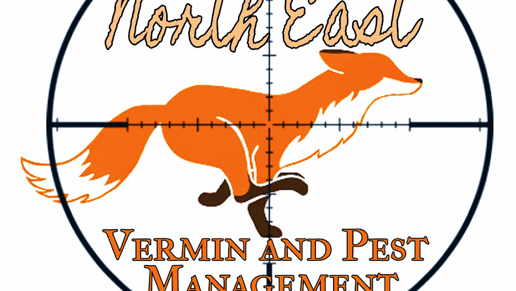 North East Vermin and Pest Management | home goods store | 9 Hamilton Cres, Wangaratta VIC 3677, Australia | 0403749939 OR +61 403 749 939